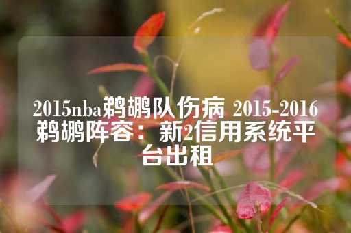 2015nba鹈鹕队伤病 2015-2016鹈鹕阵容：新2信用系统平台出租-第1张图片-皇冠信用盘出租