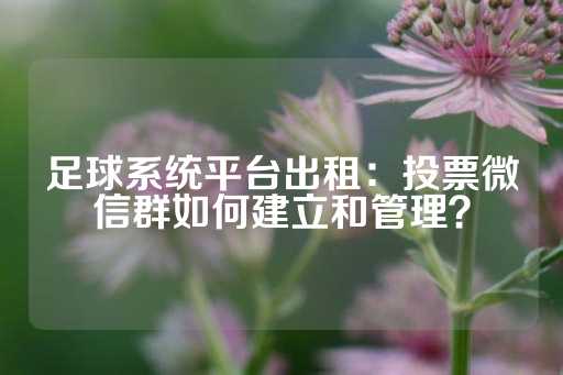 足球系统平台出租：投票微信群如何建立和管理？-第1张图片-皇冠信用盘出租