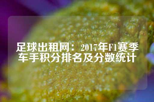 足球出租网：2017年F1赛季车手积分排名及分数统计-第1张图片-皇冠信用盘出租