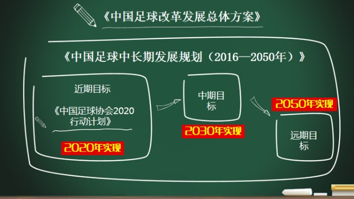 介绍中超公司的发展历程与未来规划