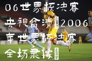 2006世界杯进球 央视 2006世界杯进球全记录1--30